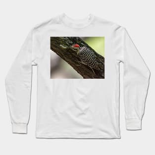 Ladder-Backed Woodpecker and Caterpillar Long Sleeve T-Shirt